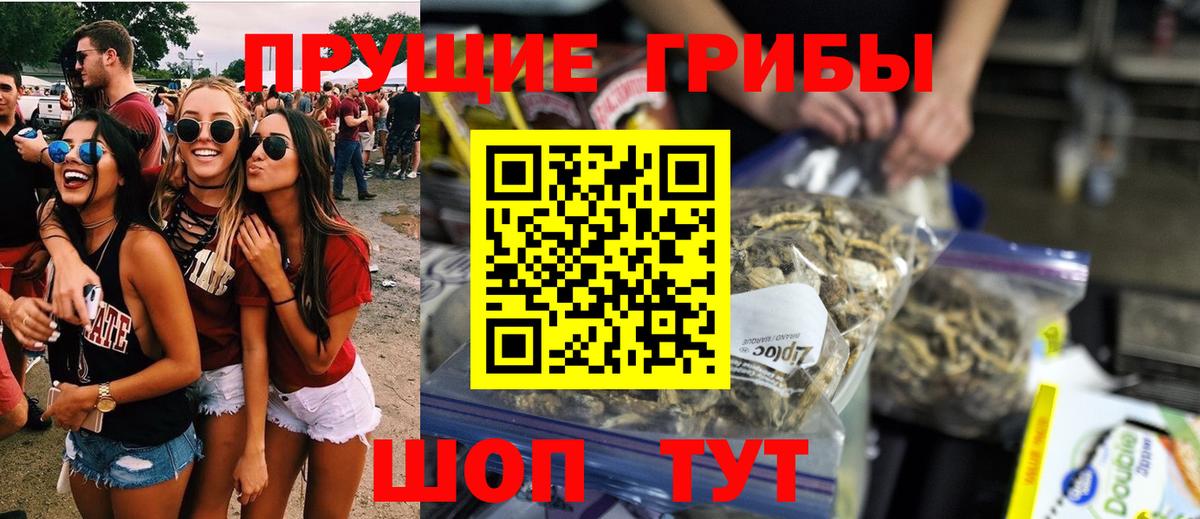 Галлюциногенные грибы прущие грибы  наркотики  Пугачёв  Вход с VPN 